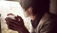 十二生肖,谁拥有最好的人缘