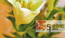 求安心，换幸运！属猴招财必备法宝