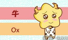 属牛女喜欢背什么类型的包