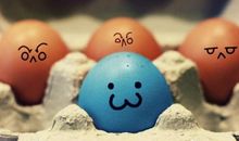 情商高，最懂得为人处世的生肖