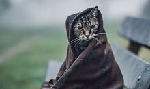 快来看看让你成为月光族的原因是什么呢