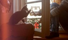 盘点|没有对的人,这个星座会让自己孤单一生吗