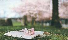 恋爱中总是处于弱势的星座