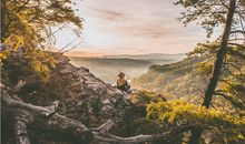 生肖羊求财吉凶与开运方法