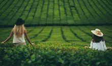 属鸡人出生年月日时辰命运解释