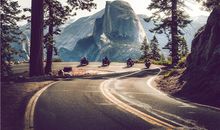 属羊人出生年月日时辰命运解释