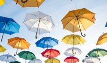 属马人的改命方法