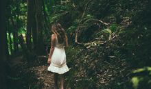 属狗人出生年月日时辰命运解释