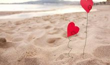 12星座急着脱单的背后有什么秘密？