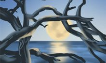 麦玲玲2017年属蛇人的运势详解大全