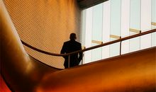 生肖鸡从事什么职业最能赚到钱