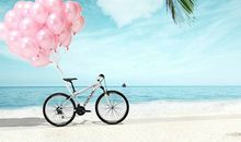 铃兰塔罗：你的爱情能够拥有自由吗？