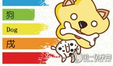 属狗会轻率冒进而不知沉着冷静吗