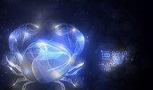 揭秘巨蟹座的理财作风