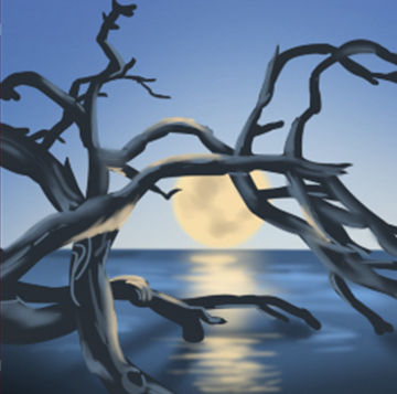 麦玲玲的2017虎年星座运势