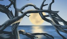 麦玲玲2017年属虎人的运势详解大全