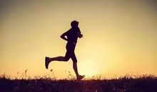 面对挫折只会勇往直前的生肖