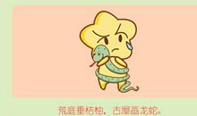 属蛇女生为什么最怀念初恋男友