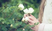 口是心非、不愿认错的星座