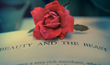 测你能否遇到自己喜欢的类型