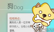 属狗面对失败会如何发泄