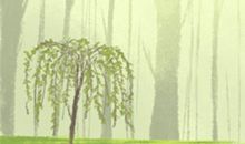 哪些面相的女人易遇人不淑？