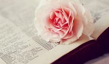 哪些星座容易满足也容易受伤