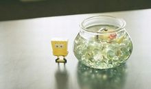 谁是最爱在背后嚼耳根的星座