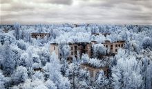 属羊人的改命方法