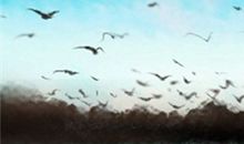 腊月二十九是什么日子，有哪些习俗？