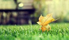 盘点那些一到气头上就满口违心话的星座