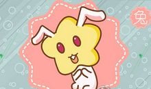 属兔女都有哪些无厘头的观点