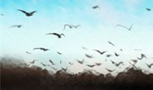 腊月二十七是什么日子，有什么习俗？