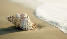 12星座的人生会大起大落吗