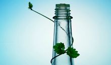 测你是否会被同性恋骚扰