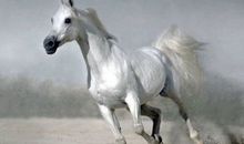 这8种人容易遇到贵人，有你吗?