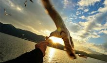 民间认为最积德的四件事