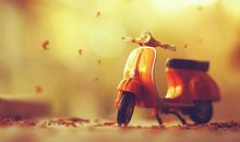 最不恋家，拖到年三十才回家的星座