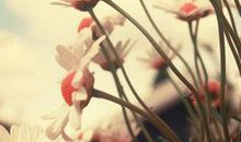 会宠坏另外一半的人