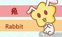 属兔女生会因为什么而成长