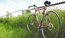 友情比爱情重要的生肖君