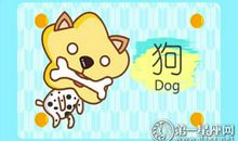 属狗会给子女树立怎样的形象？