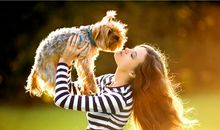 哪些星座最喜欢养小动物