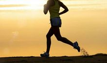 最能吃苦耐劳的四大生肖