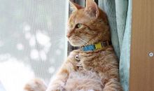 测测你会因为什么而难以把控情绪呢？