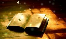 敢作敢当，从不推卸责任的星座