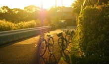 无趣，爱情中最不懂幽默的星座