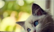 哪些星座没事就喜欢发呆