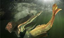 处女座代表的女神