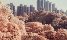 记住谁的诞辰/生日对运势最有利？